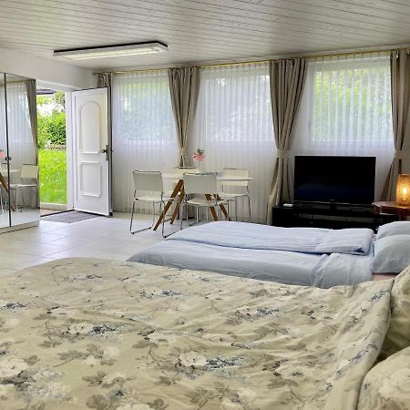 Studio In Stadtnaehe Zuerich Mit Guter Verkehrsanbindung Adliswil ภายนอก รูปภาพ